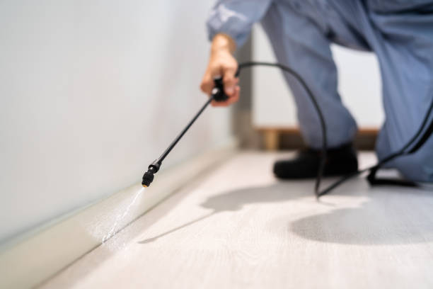 Licensed Termite Control service in Hamtramck, MI - Nex Pest Control
