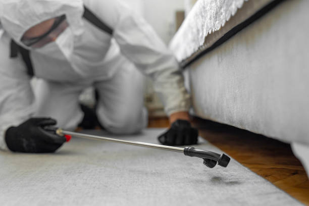 Professional Termite Control technician working in Hamtramck, MI
