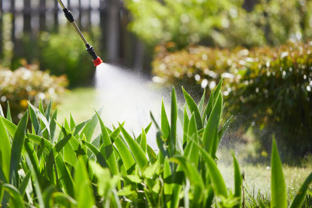 24/7 Emergency Termite Control experts in Hamtramck, MI
