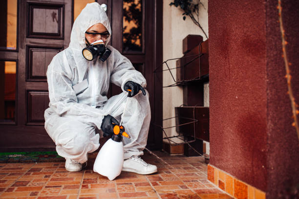 Reliable Termite Control contractor in Hamtramck, MI by Nex Pest Control