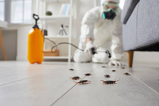 Trusted Termite Control service in Hamtramck, MI - Nex Pest Control