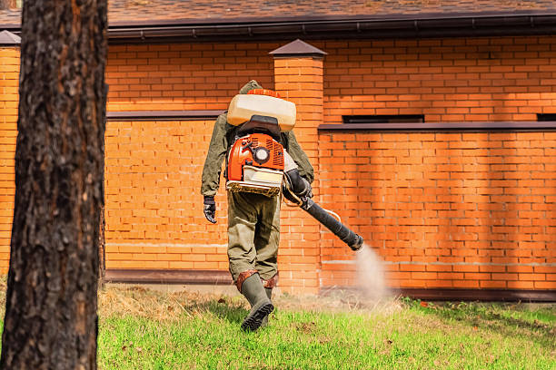 Trusted Ant Control service in Hamtramck, MI - Nex Pest Control